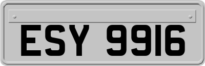 ESY9916