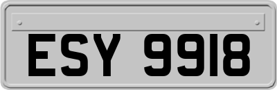 ESY9918