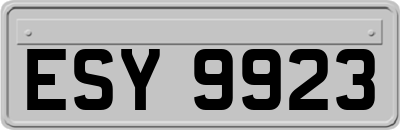 ESY9923