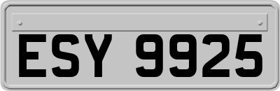 ESY9925