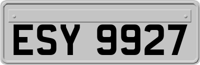 ESY9927