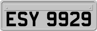 ESY9929