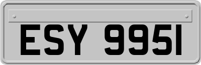 ESY9951