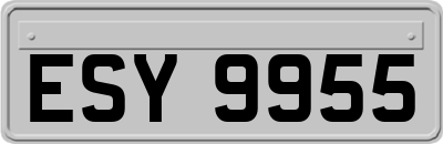 ESY9955