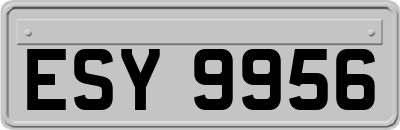 ESY9956