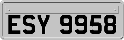 ESY9958