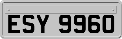 ESY9960