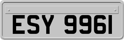 ESY9961