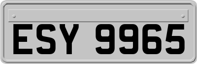 ESY9965