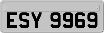 ESY9969