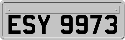 ESY9973