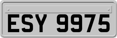 ESY9975