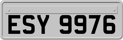 ESY9976