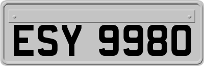 ESY9980