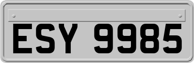ESY9985