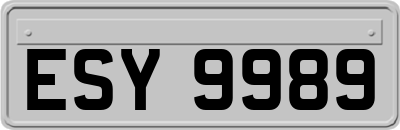 ESY9989