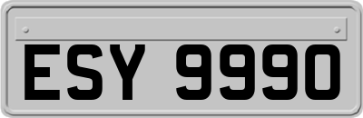 ESY9990