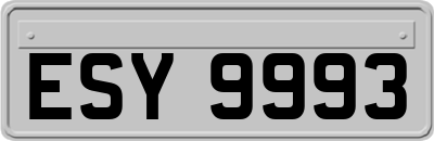 ESY9993