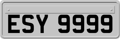 ESY9999