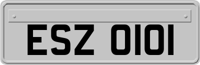 ESZ0101