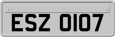 ESZ0107