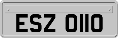 ESZ0110