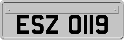 ESZ0119
