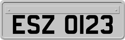 ESZ0123