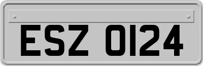 ESZ0124