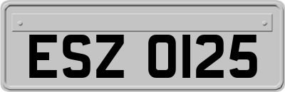 ESZ0125