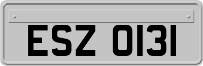 ESZ0131