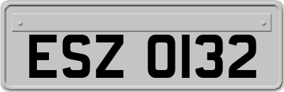 ESZ0132