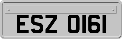 ESZ0161