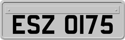 ESZ0175