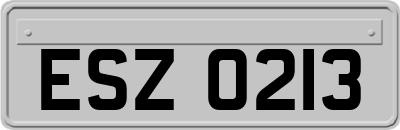 ESZ0213
