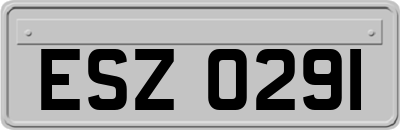 ESZ0291