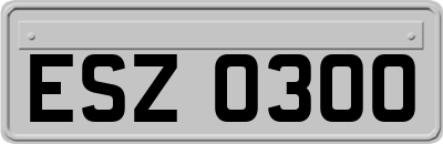 ESZ0300