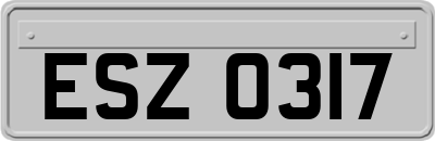 ESZ0317