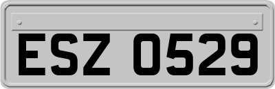 ESZ0529