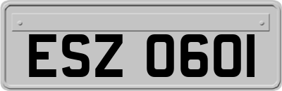 ESZ0601