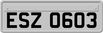 ESZ0603