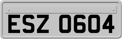 ESZ0604