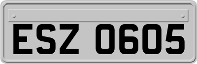 ESZ0605