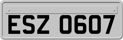 ESZ0607