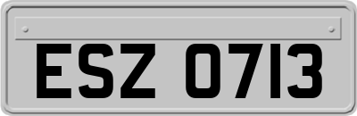 ESZ0713