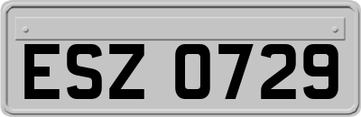 ESZ0729
