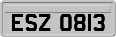 ESZ0813
