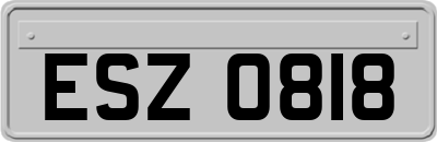 ESZ0818