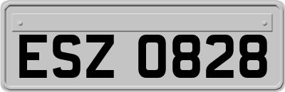 ESZ0828