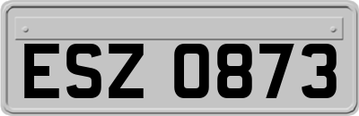 ESZ0873